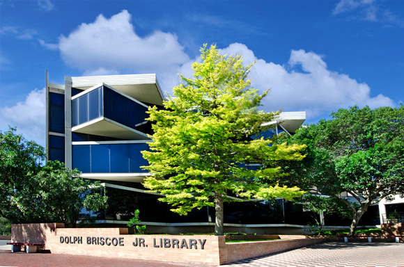 2014 Briscoe Library 04